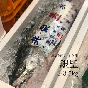 ɂ̏H ␹ X kCySY 13.5-4kgTCYy␹X_3.5-4kgx1z① LF