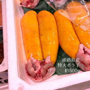  {q  YiE啪EEWHȂǁj1500gO {̗i^qjy {R 500g z① LF