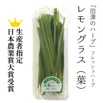 楽天市場】レモングラス 生の通販