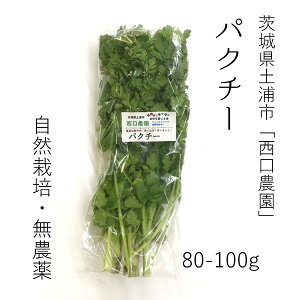 パクチー 100gの人気商品 通販 価格比較 価格 Com