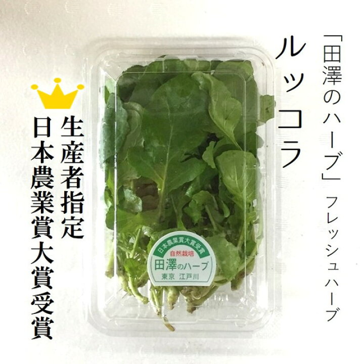 rucola様確認用】