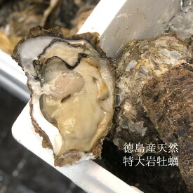 楽天市場 カキ 産地 都道府県 徳島 貝類 魚介類 水産加工品 食品の通販