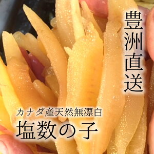 ̎q Y Y VR[LF]ōJi_Y V 500g TCY ƒpyJi_Y̎q500gz ①