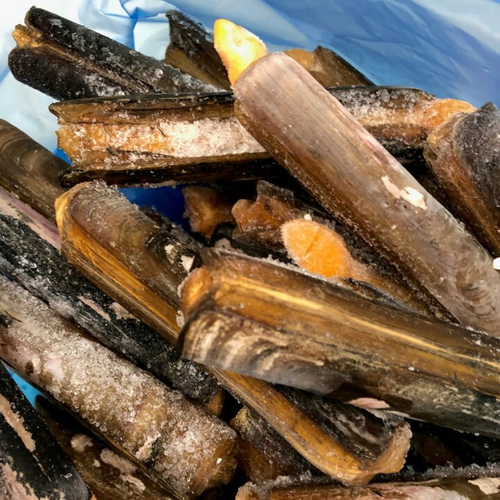 楽天市場 冷凍 マテ貝 約1kg 国産 山口県産 他 豊洲直送 マテガイ マテ貝 1k Okawari 楽天市場店