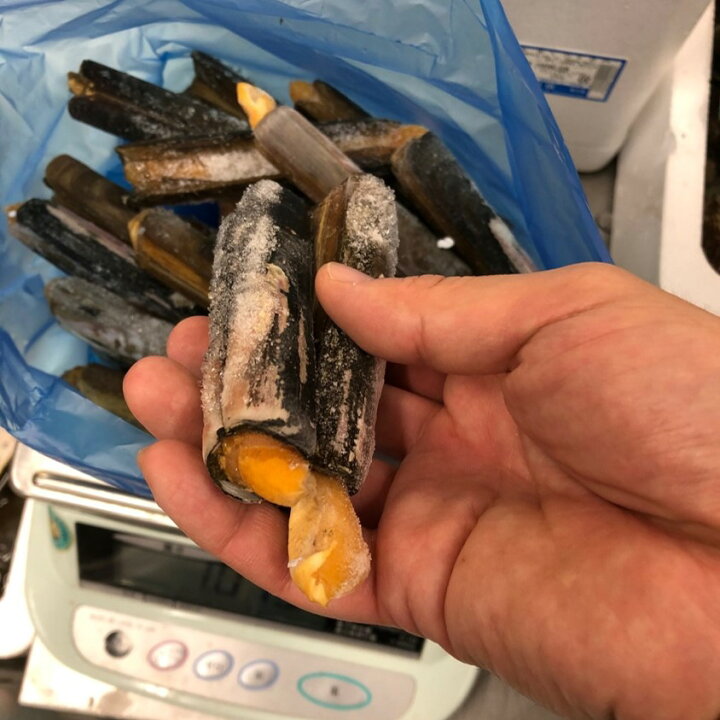 楽天市場 冷凍 マテ貝 約1kg 国産 山口県産 他 豊洲直送 マテガイ マテ貝 1k Okawari 楽天市場店