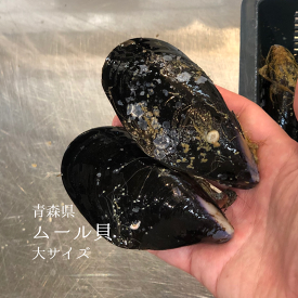 楽天市場 ムール貝 1kgの通販 楽天市場 ムール貝 1kgの通販