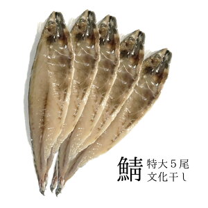 To  TCY  mEF[Y 5 1Li1200g)yI5zⓀ LF p