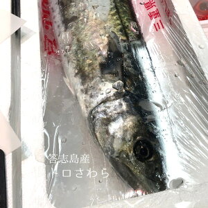 さわら 魚の人気商品 通販 価格比較 価格 Com