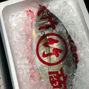 VRV}AW ܂ ō 11-1.5kg m yVRȈ1-1.5Lz① LF