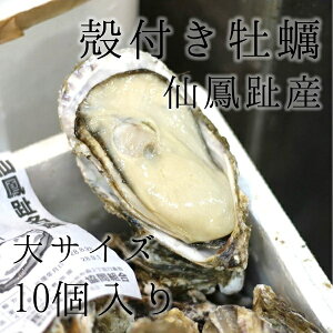 PY kty Hp TCY10i1200-250gjLF kCY JL yP䉲y200gx10z ①