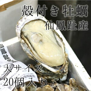 PY kty Hp TCY20i1200-250gjLF kCY JL yP䉲y200gx20z ①