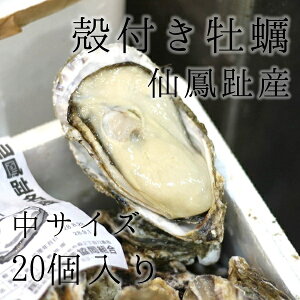 PY kty Hp TCY20i1150-200gjLF kCY JL yP䉲y140gx20z ①