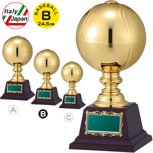 gtB[ 싅 {[ uY 24.5cm cLOi 싅 gtB[ ƋLOi 싅 gtB[ DJbv X|[c AEghA 싅 \tg{[ x[X{[ ܕi ii gtB[