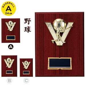 싅 gtB[  24cm cLOi 싅 gtB[  ƋLOi 싅  D gtB[ | Cxgpi ܕi ii \  c   LOi x[X{[ 싅 X|[c 