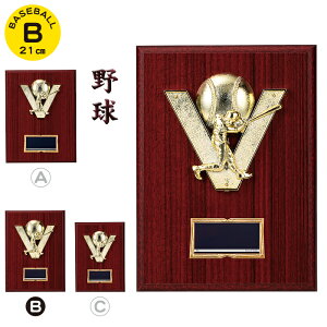 싅 gtB[  21cm cLOi 싅 gtB[  ƋLOi 싅  D gtB[ | Cxgpi ܕi ii \  c   LOi x[X{[ 싅 X|[c 