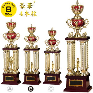 DJbv 50cm  gtB[ St DJbv 싅 gtB[ TbJ[ oXP o[ 싅  ^   җj LOi ܕi ii gtB[ Jbv St R