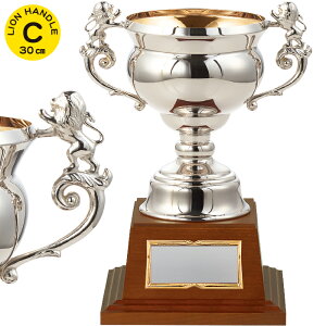 DJbv 30cm DJbv St DJbv 싅 DJbv TbJ[ oXP o[ ^ ܕi ii gtB[ Jbv DJbv St  DJbv 싅 DJbv T