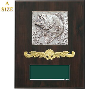 gtB[ ނ  20.5`25.5cm ubNoX gtB[  X|[c AEghA tBbVO gtB[ ubNoX Cxgpi ܕi ii gtB[ Jbv D gtB[ 