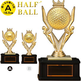 トロフィー 高さ18.5cm 卒団記念品 バレー トロフィー 野球 卒団記念品 サッカー ゴルフコンペ トロフィー ゴルフ 卒業記念品 名入れ 1個から 部活 引退 記念品 賞品 景品 トロフィー カップ トロフィー バレー トロフィー ゴルフ サッカー 野球 バスケ 優勝 トロフィー 王冠