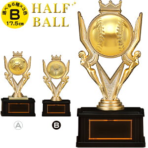 トロフィー 高さ17.5cm 卒団記念品 野球 トロフィー サッカー 卒団記念品 トロフィー バレー バスケ 卒業記念品 名入れ 1個から 部活 引退 記念品 賞品 景品 トロフィー カップ ゴルフコンペ ト