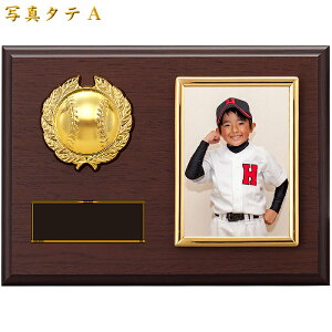 tHgt[ gtB[  17`26cm St z[C LOi ʐ^  St  StRy gtB[ cLOi 싅  ʐ^ cLOi TbJ[ ƋLO