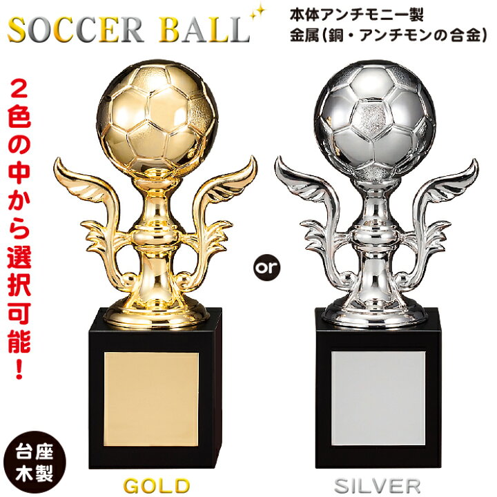 メーカー包装済 Bt 2564b トロフィー 高さ18cm ワールドイーグル サッカートロフィー 卒団 卒業 記念品 フットサル サッカー フットボール Materialworldblog Com