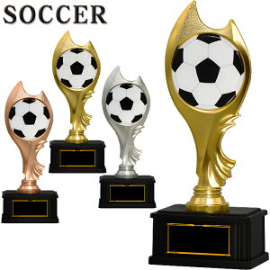 TbJ[ gtB[ 21cm cLOi TbJ[ gtB[ TbJ[ ƋLOi  1 TbJ[ gtB[ TbJ[ {[ D gtB[ TbJ[ ObY   LOi