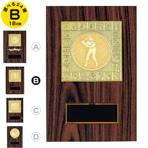 gtB[  18cm gtB[ 싅  c   LOi St gtB[ TbJ[ o[ oXP ejX nh{[ y j  gtB[ St Rypi ܕi i