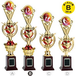 gtB[ 36cm  gtB[ 싅 TbJ[ oXP o[ ejX oh~g Or[ St Rypi ܕi ii gtB[ Jbv St y 싅 _   }\