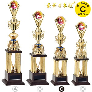 gtB[ 49.5cm gtB[ TbJ[ 싅 oXP oh~g o[ ejX St 싅 ܕi ii gtB[ Jbv St Rypi y  _  {NVO ̑ j 