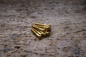 �ނ����� �^�J�ۓ��}�C�i�X�l�W 6.5×3.1×25mm�i1��10�{���j