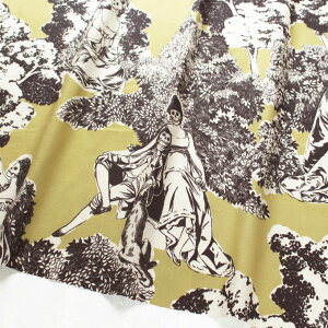 n An USAnO[n ghXJ ALEXANDER HENRY ALT_[w[ USAvg(ŒP30cm`10cmPʂ̐؂蔄)