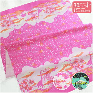 An n An USAn USAvgn Ɛ `sN FreeSpirit t[Xsbg(ŒP30cm`10cmPʂ̐؂蔄)