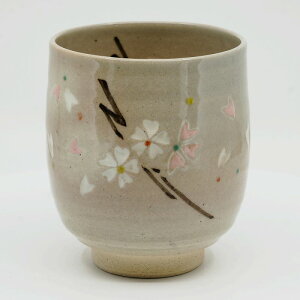 ۂ ̂    ۂݒq 퐻 {    v[g lC aH ()1q  