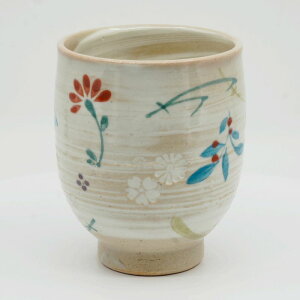 ۂ ̂    ۂݒq 퐻 {    v[g lC aH () 1q  Ԃ炵