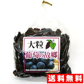 大粒干しぶどう 葡萄の故郷(ぶどうのふるさと) 340g×2袋 送料無料 チリ産 レーズン 大粒レーズン ドライフルーツ