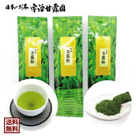 玉露粉（ぎょくろこ） 100g×3本 送料無料 お茶 緑茶 玉露 煎茶 茶葉 日本茶 宇治茶 寿司茶 寿司屋のお茶 宇治煎茶 カテキン 京都府産 宇治田原町産 メール便 免疫力アップ応援 御歳暮 御年始 父の日 敬老の日