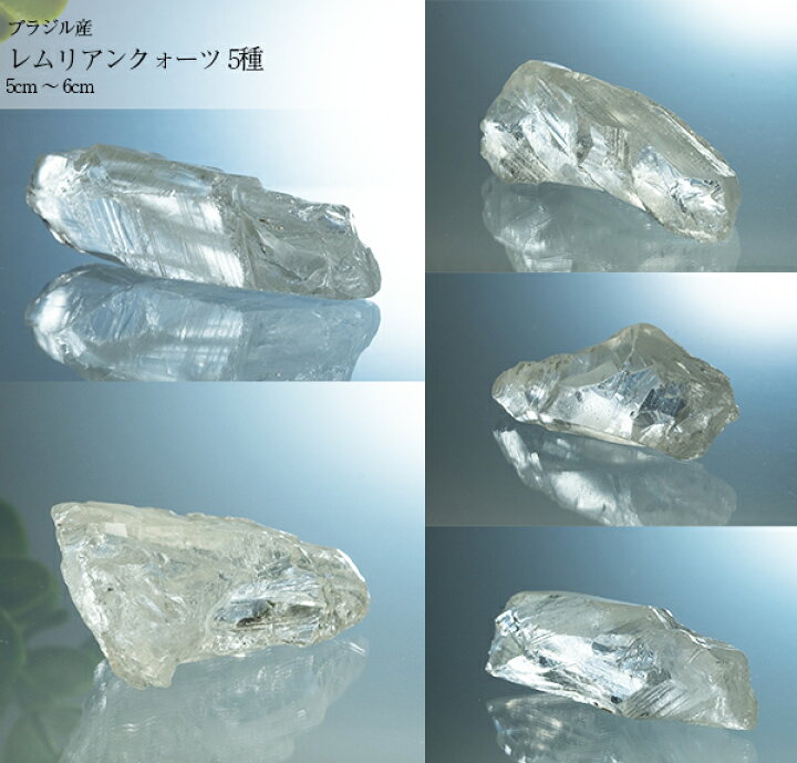 楽天市場】【選べる】 レムリアンルーツ ルート ブラジル バイヤ産 