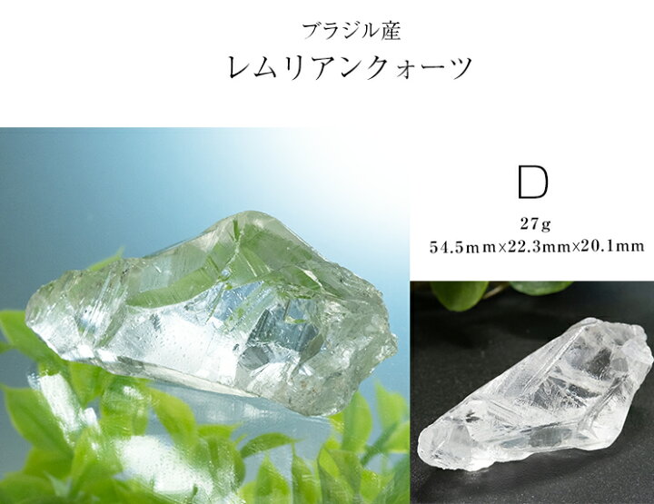 楽天市場】【選べる】 レムリアンルーツ ルート ブラジル バイヤ産 