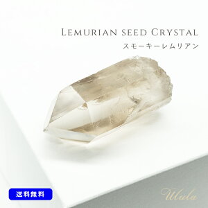 yizAV[hNX^ X[L[AyJ^ K^  iF AE zy|[`tzŷЂTCYzyX[L[J[zAV[hNH[