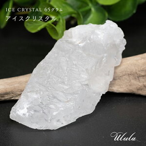  ACXNX^ 65g VR   ChY }X^[NX^ q} g s _  XgX q[O   ^̒ǋ ΂̉̐ u 