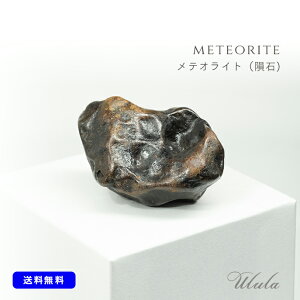 yizeICg 覐 F ɂ փCeAyJ^ K^ o  iF AE  jzy|[`tzŷЂTCYzyubN uE J[zm _