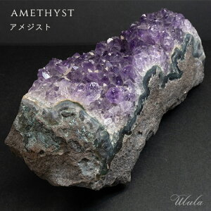 AWXgNX^[ t[AWXg 1244gyizy^zNX^[ q[OE   VR p[Xg[   J߂  ؂Ȑlւ̃Mtg AN