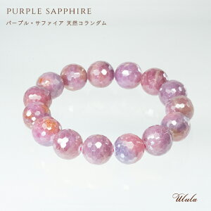 yΊӕʏtzyK^zyXgXzyzp[v Tt@CA uXbg s^CvyӕʏtzyVRR_zyizy󏭁z uXbg 13.5mm V