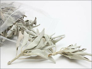 @i@zCgZ[W 20g  VR p[Xg[ Z[W zCgZ[W X}bWO 򉻃ObY }t [t