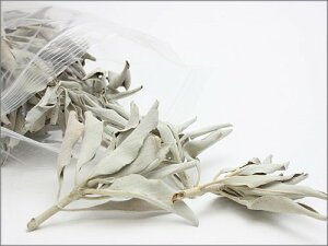  i _@iv~AzCgZ[W@p 45g  VR p[Xg[ Z[W zCgZ[W X}bWO 򉻃ObY }t [t