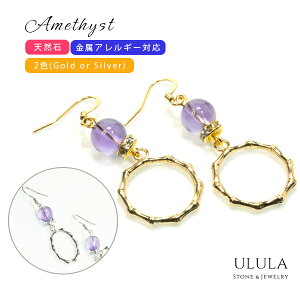 yF2 Gold or Silverzh AWXg ou[ sAX tbN Lb`  AM[Ή T[WJXeX   VR΃WG[ VR΃ANZT[ l킢 p[