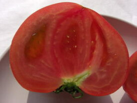 【送料無料】　有機肥料栽培桃太郎トマト2kg地元で大人気♪ 甘い太郎とまとは糖度が7以上でフルーツの様な美味しさです。トマトダイエット