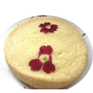 【送料無料】小さな田舎の人気クッキー、70万枚の大人気!野草炭クッキー桜30枚