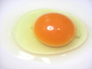 yẑ萶Bu܂͂p܂80vBipj cot@[{{40N̐񂪁AEGTɂƂƂ񂱂ĈĂ{{̎Y񂾗͐VNŁA